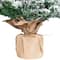 3ft. Unlit Frosted Pine Artificial Christmas Tree in Burlap Base